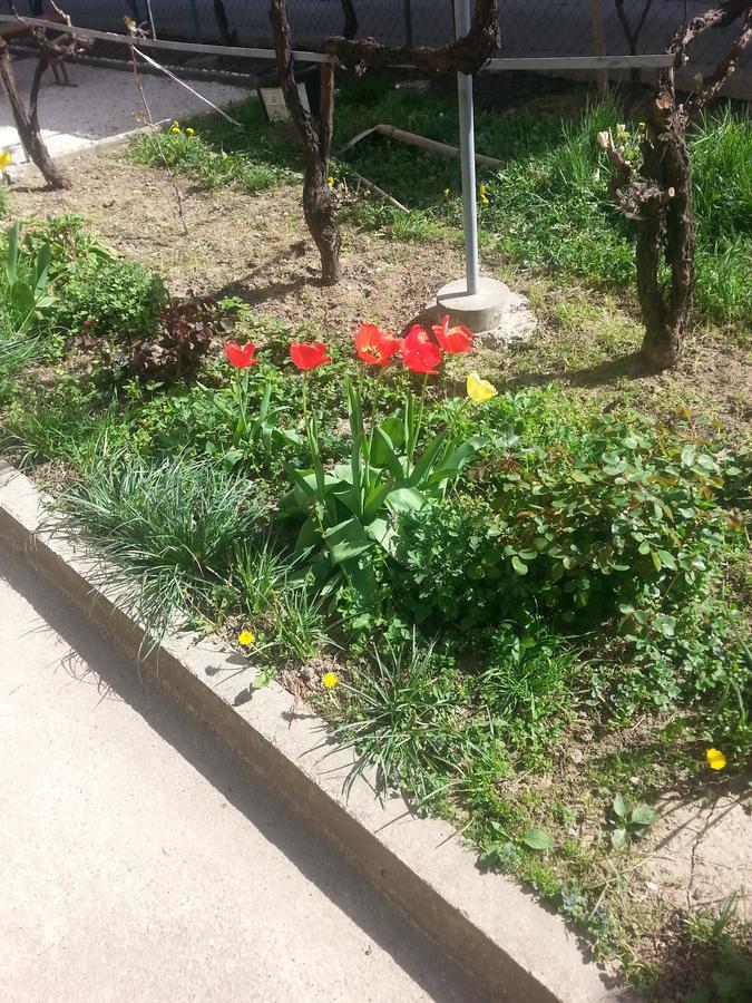Sweet Dreams Apartment Arandjelovac Εξωτερικό φωτογραφία