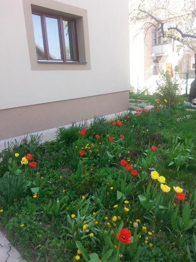 Sweet Dreams Apartment Arandjelovac Εξωτερικό φωτογραφία